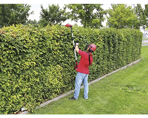 En person beskär en grön häck med en häcksax.