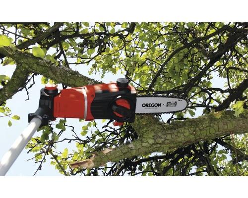 Stångsåg som skär av gren med löv