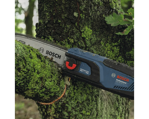 Bosch logotyp. Bosch batteridrivna motorsåg beskär en mossbelagd gren.