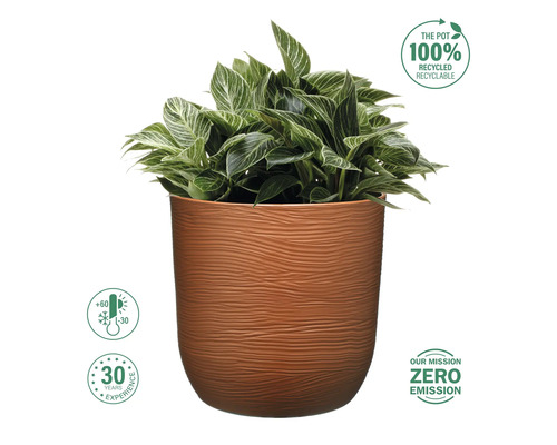 Växt i blomkruka med återvunnet material och frostbeständighet