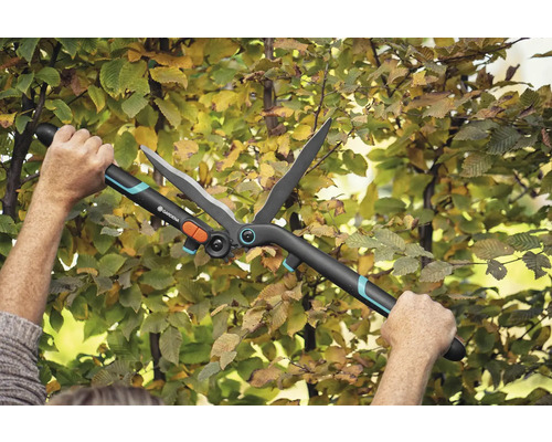 Trädgårdssax i bruk på en häck