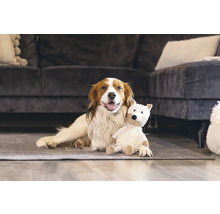 Hund ligger med teddybjörn på mattan framför en soffa