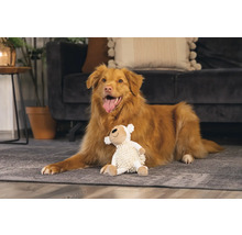 Hund ligger med gosedjur på mattan