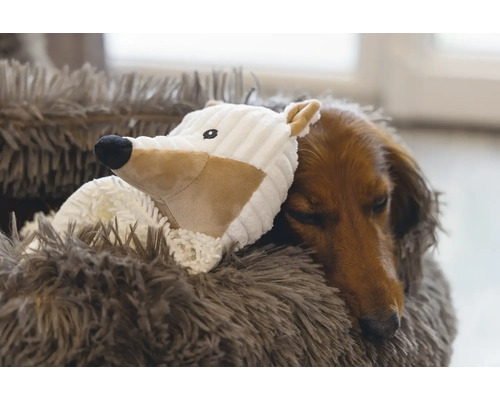 Tax sover med leksak i en mjuk hundbädd