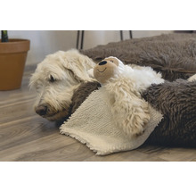 En hund vilar i en hundsäng med ett gosedjur.