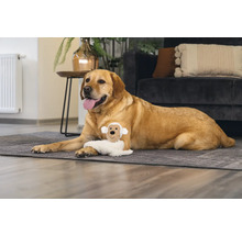 En Labrador ligger med en hundleksak på en matta i vardagsrummet.