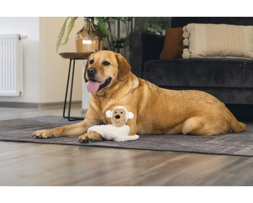 En Labrador ligger med en hundleksak på en matta i vardagsrummet.