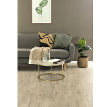 Vardagsrum med soffa, soffbord och krukväxt