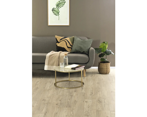 Vardagsrum med soffa, soffbord och krukväxt