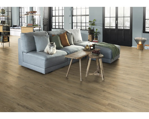 Vardagsrum med grå soffa, trägolv och katt