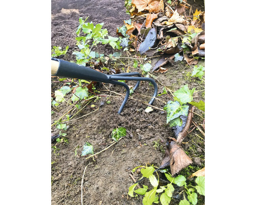 Trädgårdshacka som används mellan jord och växter