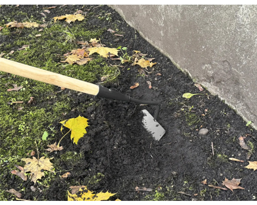 Trädgårdshacka med träskaft som används i trädgårdsjorden.