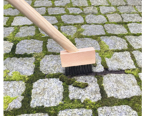 Borste med trähandtag tar bort mossa från gatstenar.