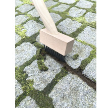 Fogborste med trähandtag rengör gatstenar från mossa