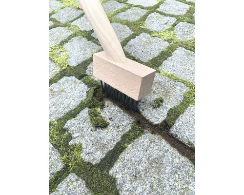 Fogborste med trähandtag rengör gatstenar från mossa