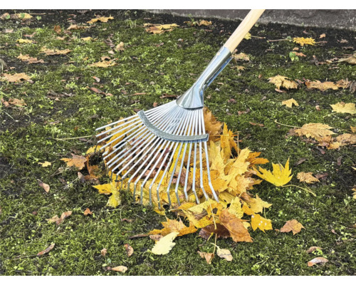 Lövkratt i metall med träskaft som samlar höstlöv på gräsmattan