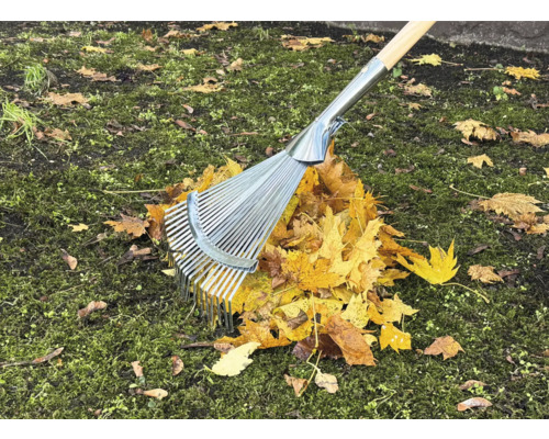 Lövraka i metall med träskaft på löv