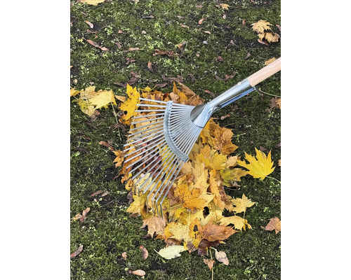 Löv räfsas ihop med en metall- och träräfsa på en gräsmatta.