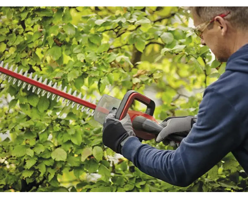 Man klipper häck med en häcksax