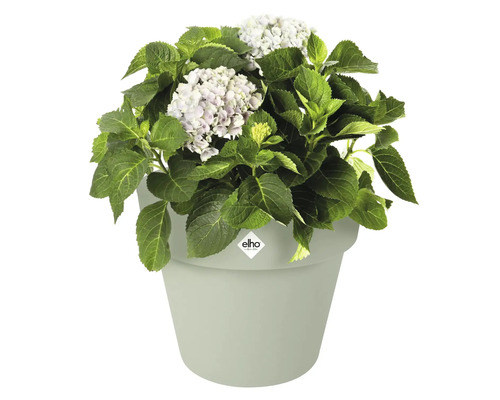 Blomkruka ELHO Green basics top planter Ø39x33cm grön