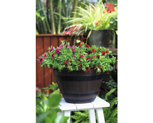 Blomkruka med röda och violetta blommor på en vit pall i trädgården.