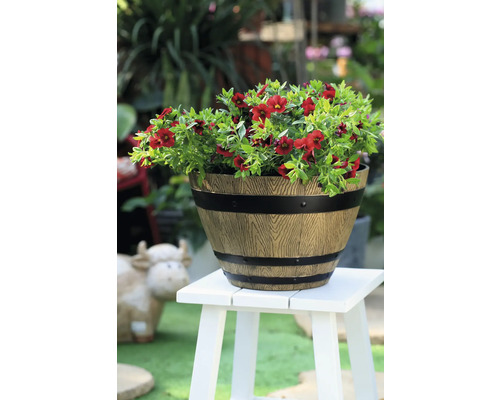 Blomkruka med röda blommor på en pall