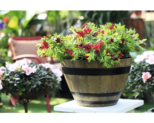 Blomkruka med röda blommor på ett trädgårdsbord