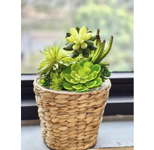 Planteringskorg LAFIORA vattenhyacint Ø19x16cm
