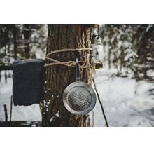 Metallpanna fäst vid ett träd med rep, i en vintrigt skog.