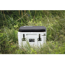 Petromax kylbox kx25 i gräset