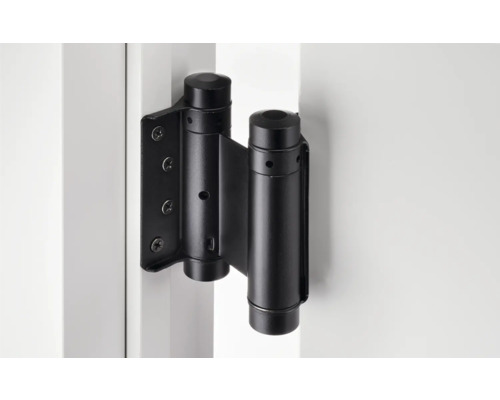 Svart dörrgångjärn på en vit dörr