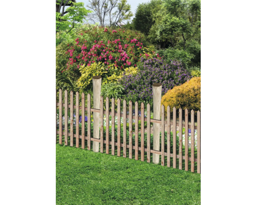 Trästaket i trädgården med blommor och gröna växter