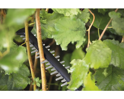 Häcksax som klipper en häck