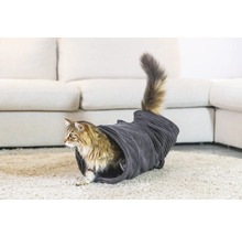 Katt i en kattunnel på en matta framför en soffa