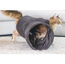 Katt leker i en katttunnel