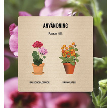 Information om användning av balkongblommor och krukväxter