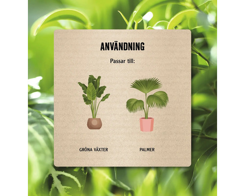 Illustration av användning för gröna växter och palmer.