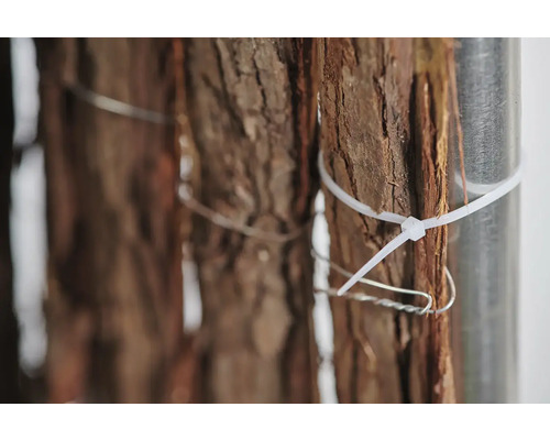 Närbild av trädbark fäst vid en metallstolpe med buntband och tråd