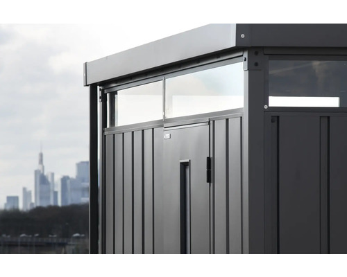 Detaljvy av ett trädgårdsskjul med dörr och fönster