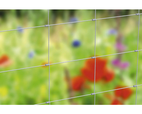 Detaljvy av ett knutnät i trädgården