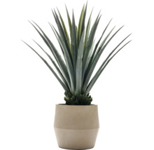 Konstgjord agave i kruka