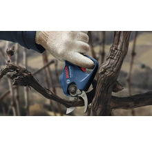 En hand med handske använder en Bosch batteridriven trädgårdssax för att beskära en gren.