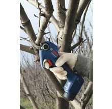 Användning av en batteridriven trädgårdssax för att beskära en gren