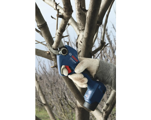 Användning av en batteridriven trädgårdssax för att beskära en gren