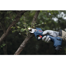 Batteridriven trädgårdssax som klipper en gren i trädgården