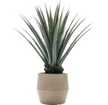 Konstgjord agave i kruka