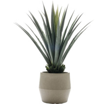 Konstgjord agave i kruka för inredning