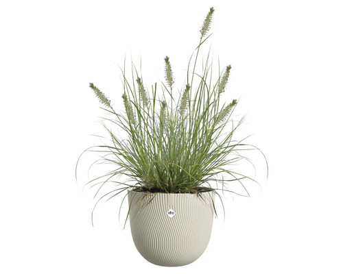 Gräs i en Elho-planter