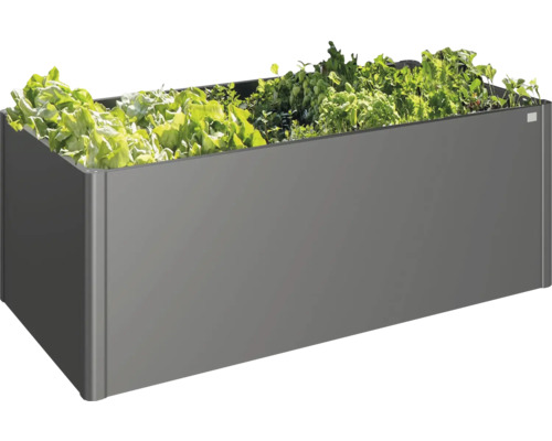 Grå planteringslåda med olika växter