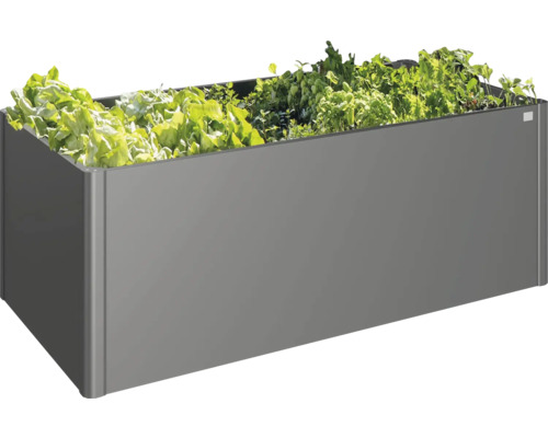 Metallhögbädd med sallad och örter